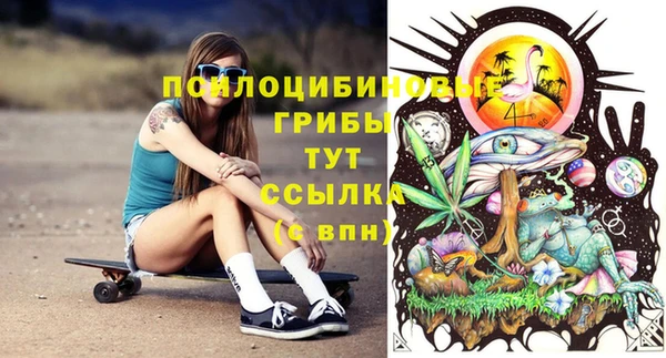 скорость Абаза