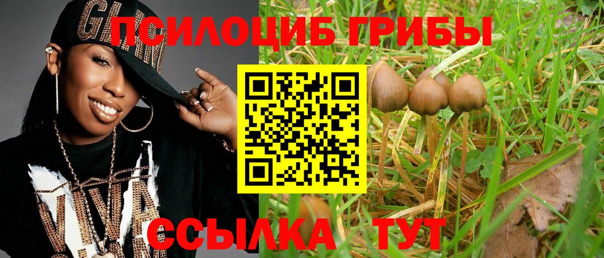 Азнакаево  Галлюциногенные грибы Cubensis  закладки  Вход с VPN 